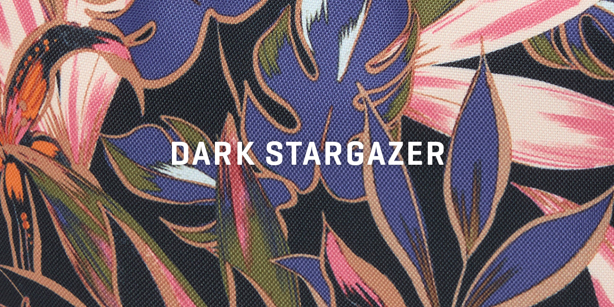 Dark Stargazer