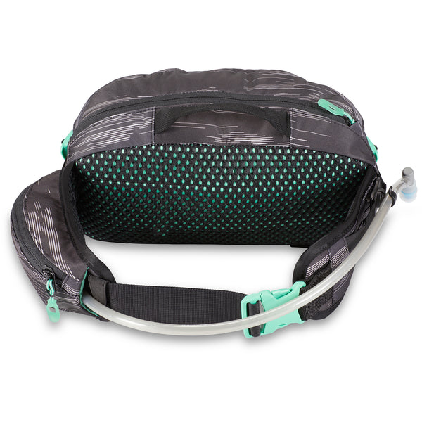 Dakine fanny pack mtb best sale